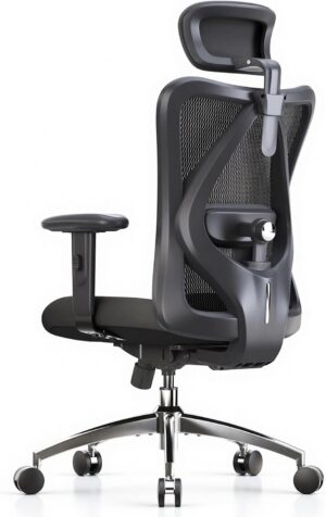 SIHOO M18 Ergonomic Office Cha...