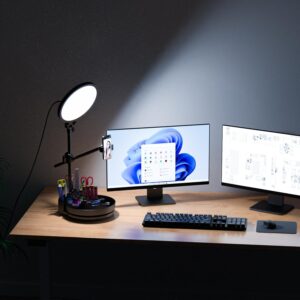 Zoom Lighting for Computer, De...