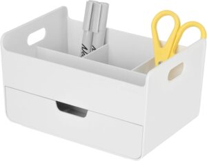 BLUE GINKGO Portable Desk Orga...