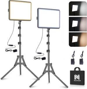 NiceVeedi 2-Pack 25W Photograp...