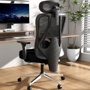 Hbada P3 Pro Ergonomic Office ...