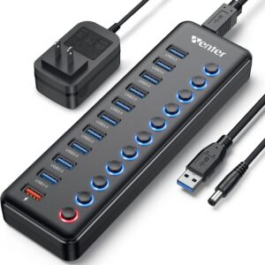 Powered USB Hub, Wenter 11-Por...