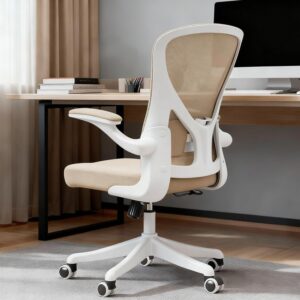 Ergonomic Office Chair with Ad...