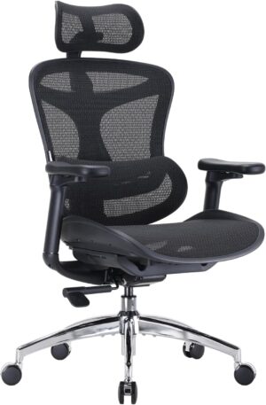 SIHOO Doro C300 Ergonomic Offi...
