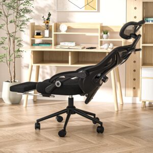 Ergonomic Office Chair with Fo...
